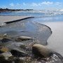 Des ruisselets lessivent les sols, drainent les sels minéraux en mer (...)